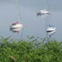 Boats on the loch